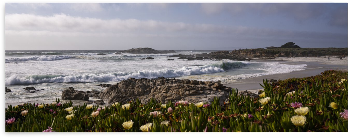 Pebble Beach Flowerbed by Jean Dzhermakyan