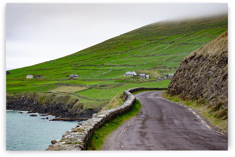 Ireland  by Anthony Farley