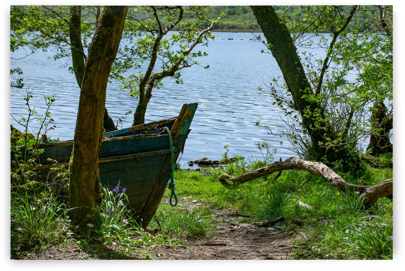 Old Man by Anthony Farley