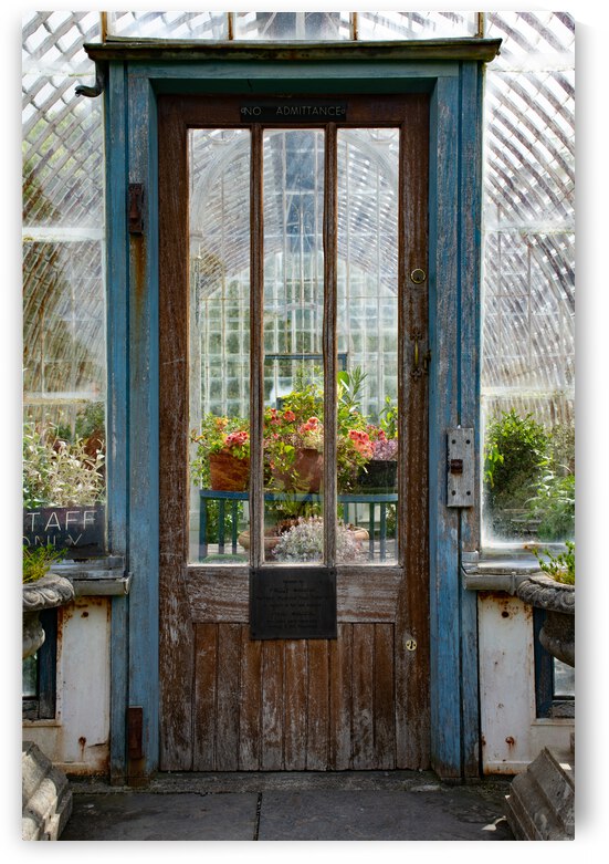 The Dream by Anthony Farley