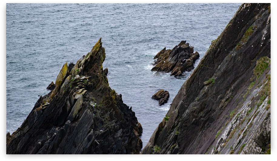 Puzzle Piece by Anthony Farley