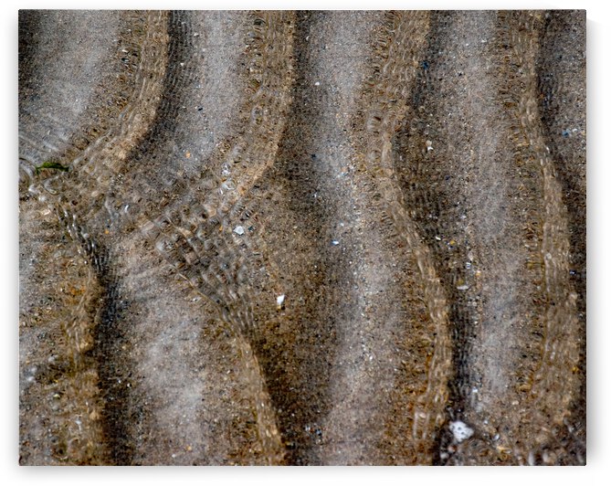 Wrinkles by Anthony Farley