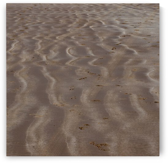 WATER by Anthony Farley