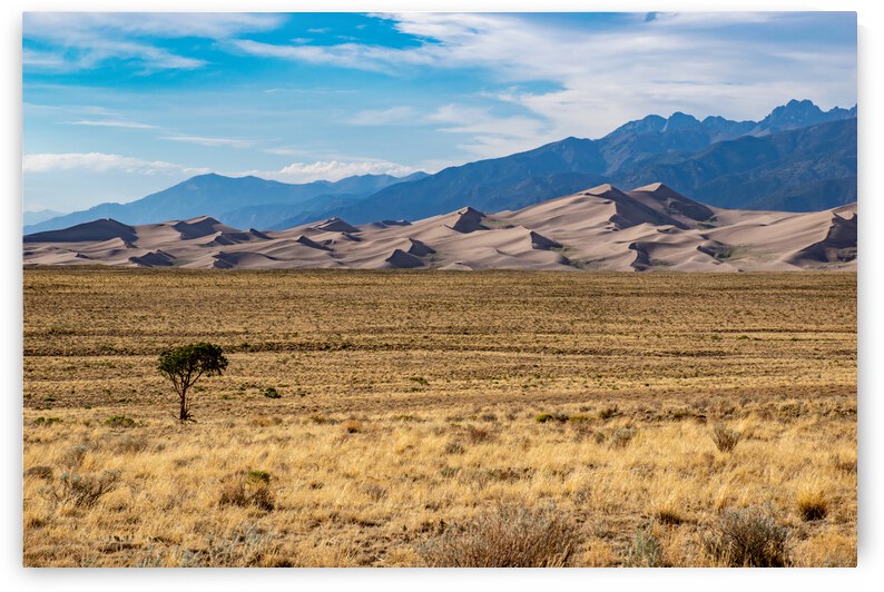 Great Sand Dune  by Anthony Farley