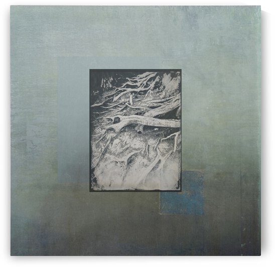 roots color block1 by Tricia Greaves