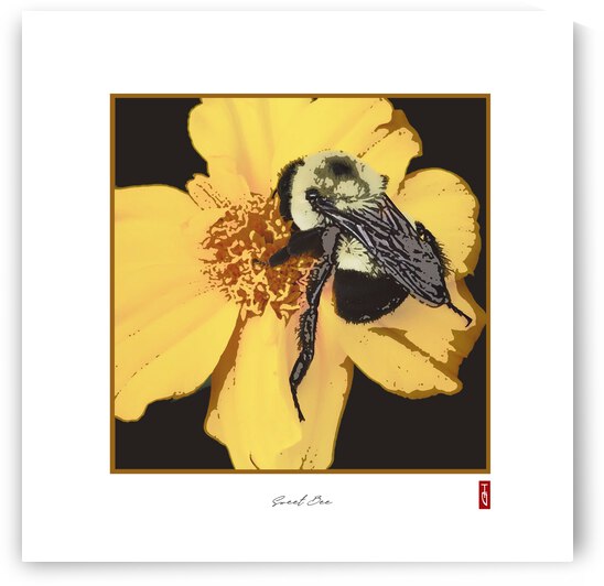 Sweet Bee by Tricia Greaves