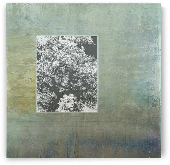 Oak tree color block by Tricia Greaves