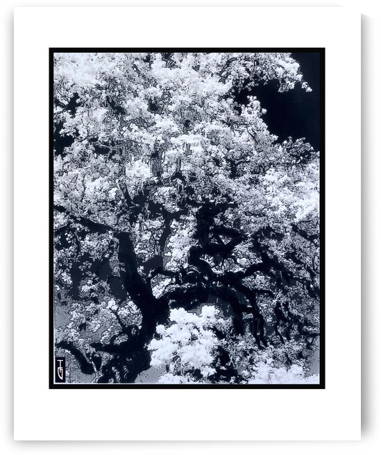 Oak Block Print2 by Tricia Greaves