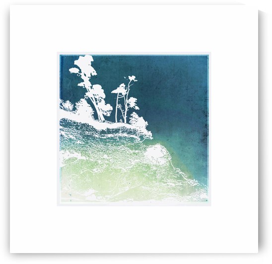 Shore Pine Green Invert by Tricia Greaves