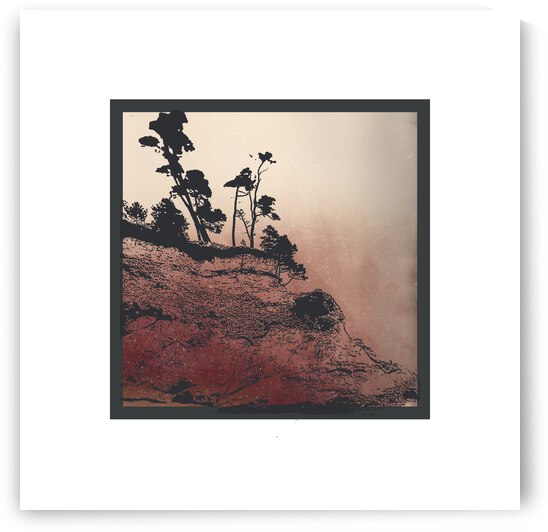 Shore Pine Red by Tricia Greaves