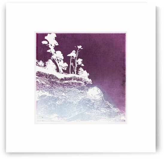 Shore Pine Purple Invert by Tricia Greaves