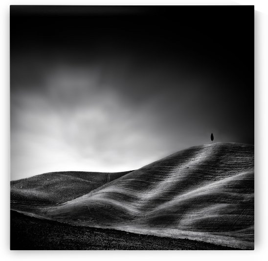 la vie reprendra au printemps by 1x