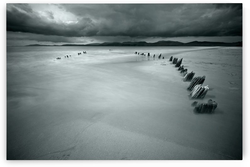 teeths of time by 1x