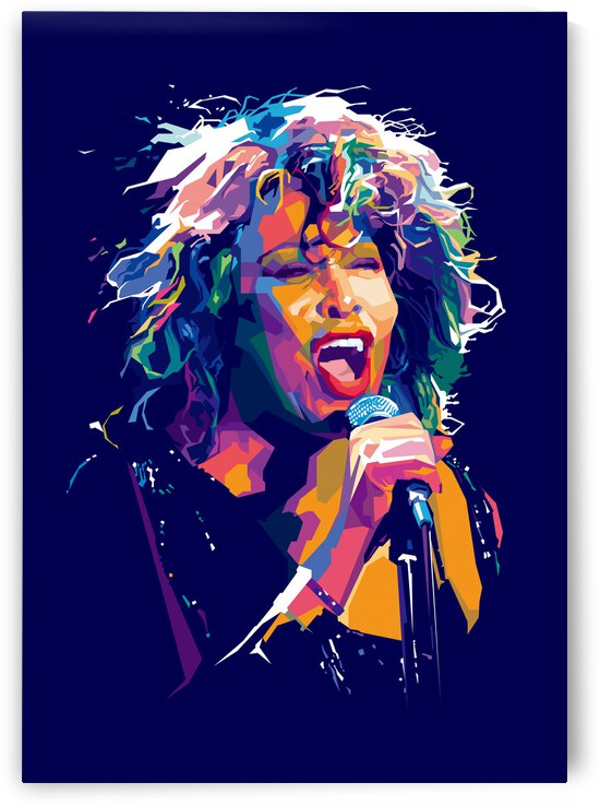 tina turner by DenideNot