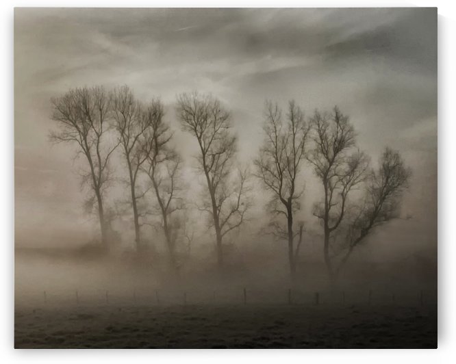 How nature hides the wrinkles of her antiquity under morning fog and dew by 1x