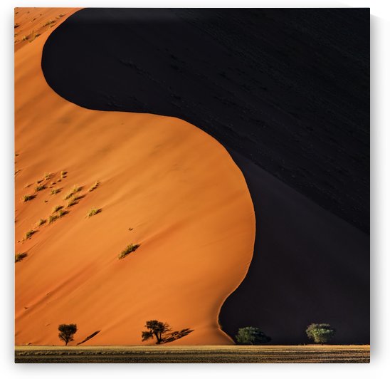 light and shadow by 1x