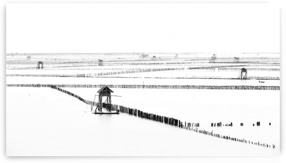 Shellfish Farm by 1x