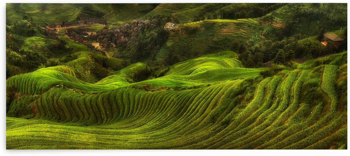 waves of rice - the dragon's backbone by 1x