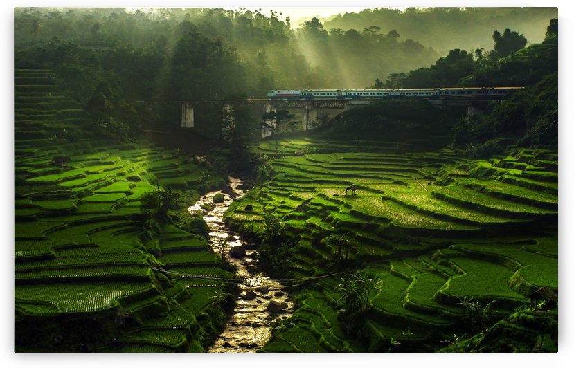 Crossing The Beautiful Bridge by 1x