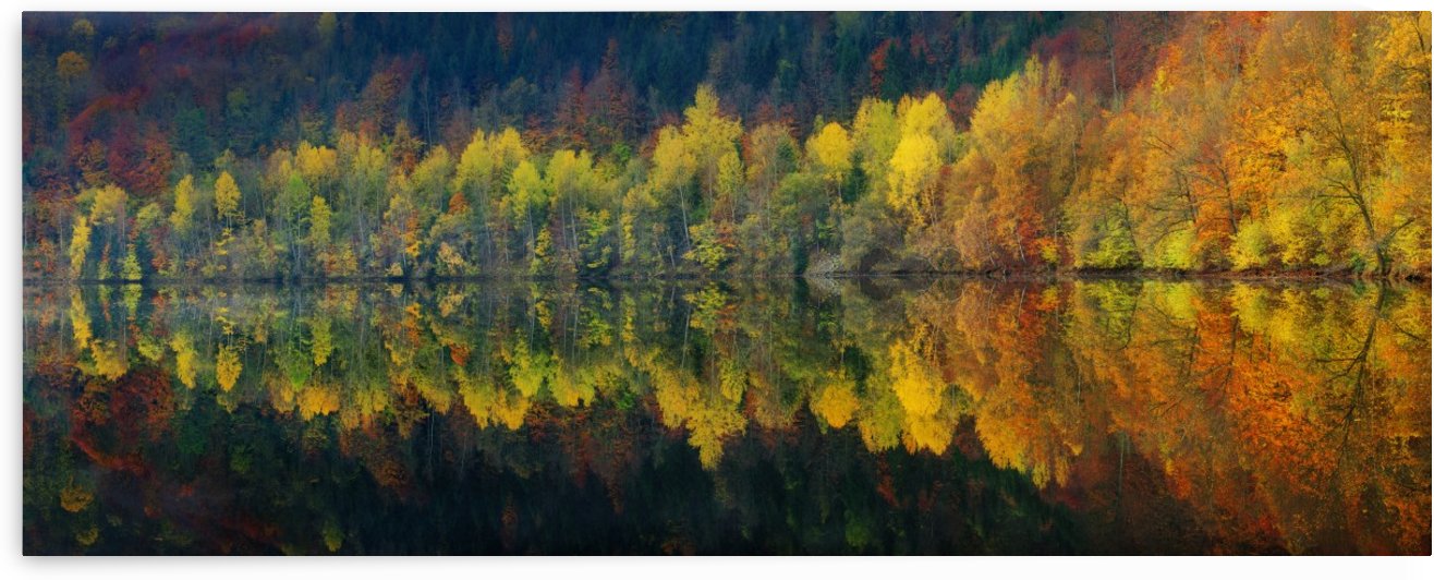 Autumnal silence by 1x
