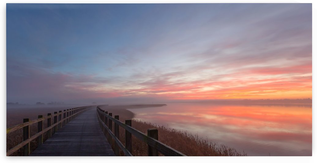 Love a morning like this II. by 1x