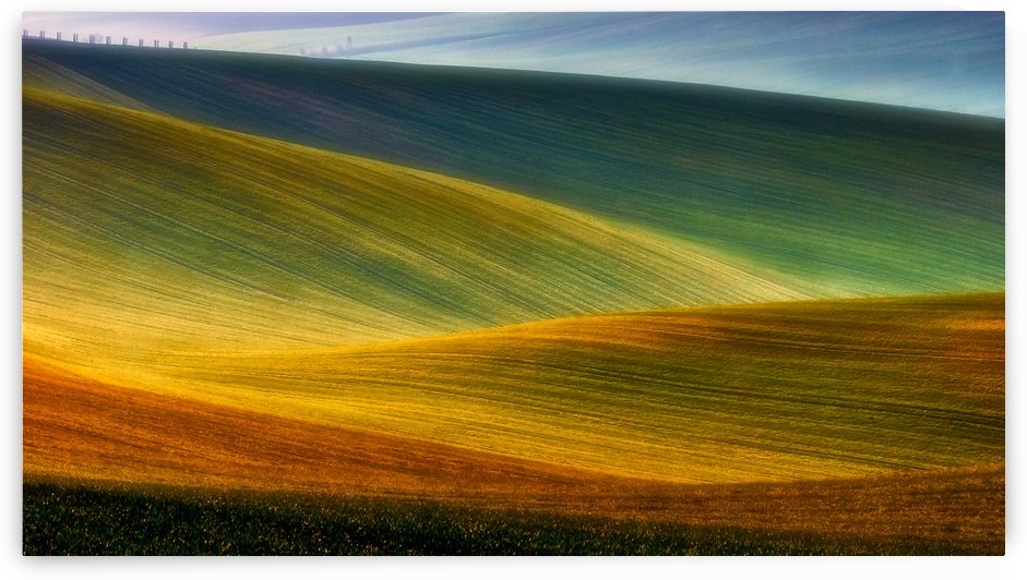 Spring fields by 1x