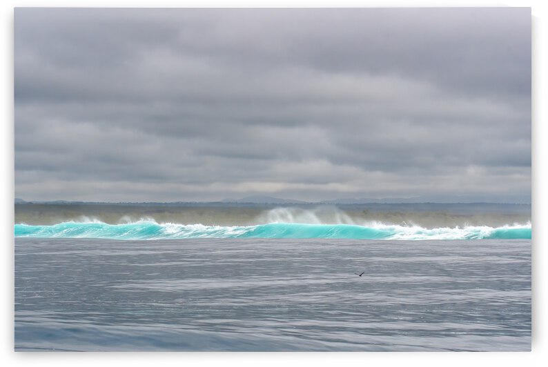 Isabela Break by Dan Hart