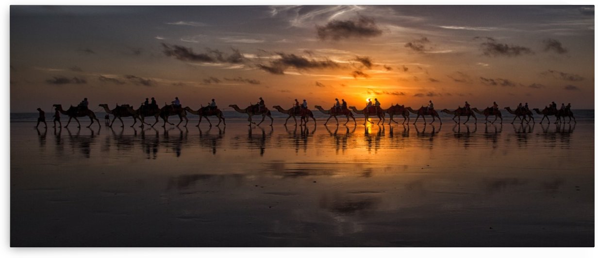 Sunset Camel Safari by 1x