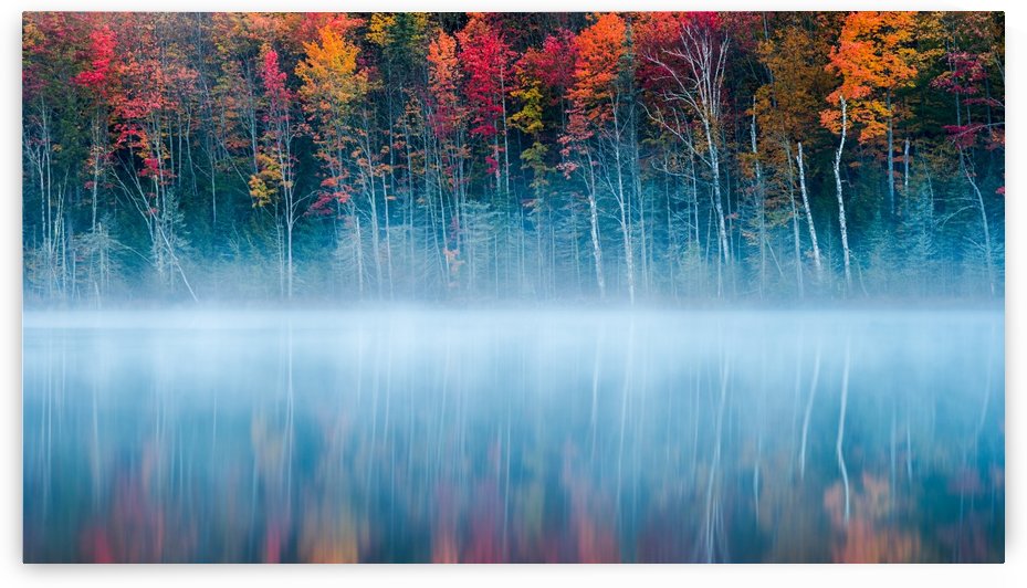 Morning Reflection by 1x