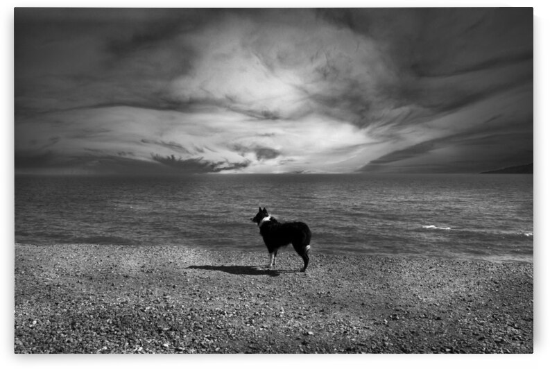 Waiting  by fotojourneys