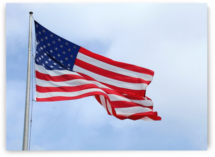 Flying Proud by The NC Geek