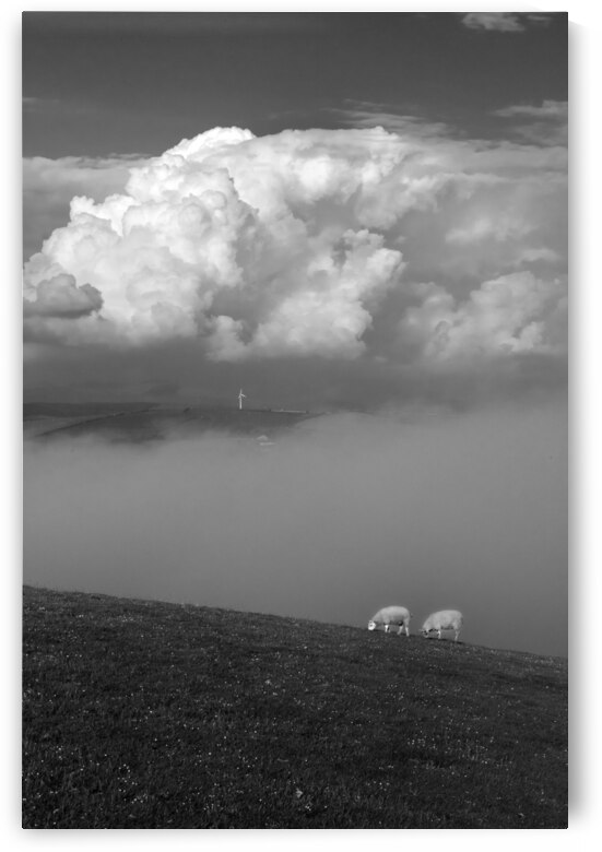Clouds and sheep - North West England by fotojourneys