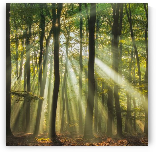 Sunny start to the day ........ by 1x