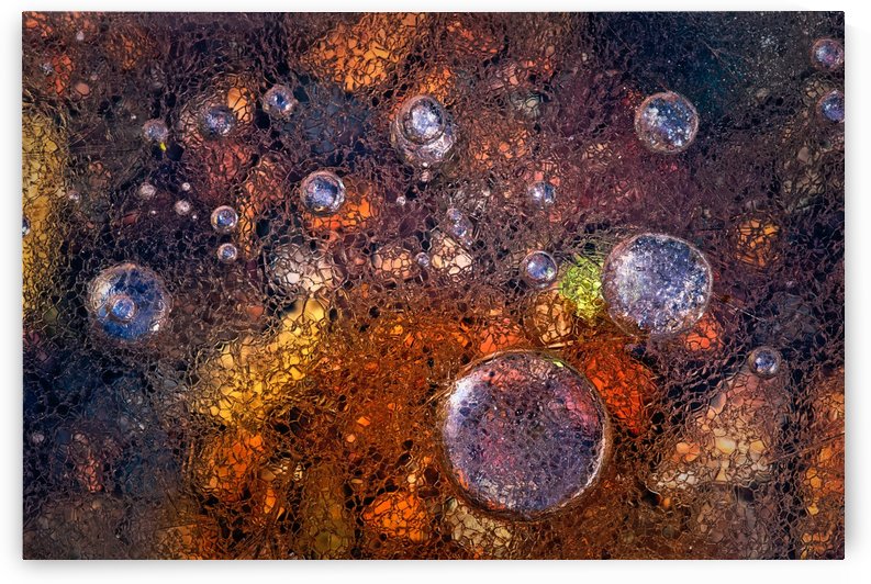 Winter Over Autumn by 1x