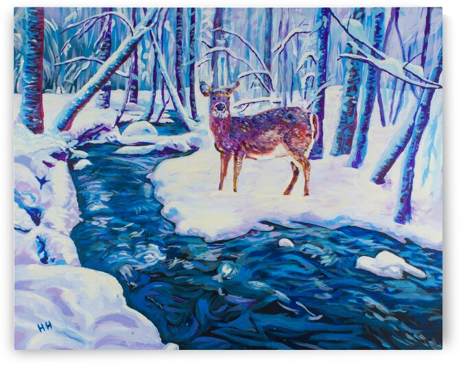 Snowy Brook by Holly Heath