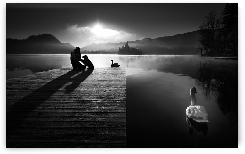 A peaceful morning at the lake by 1x