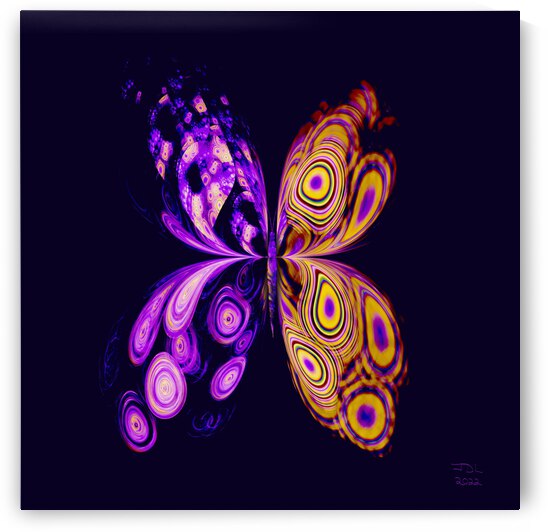 A Parti Colored Butterfly  by Jodi DiLiberto 