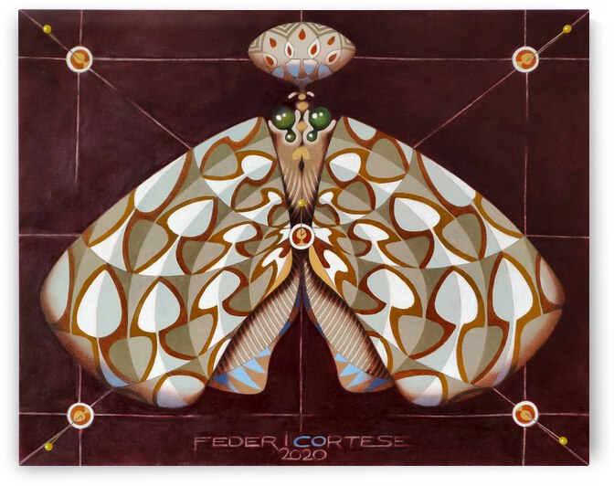 Spades butterfly by federicocortese