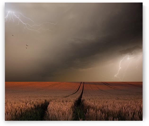 In the vastness of Strohgaeu by 1x