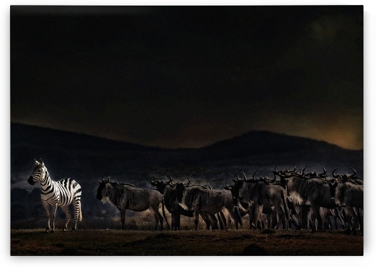 an evening in Kenya by 1x