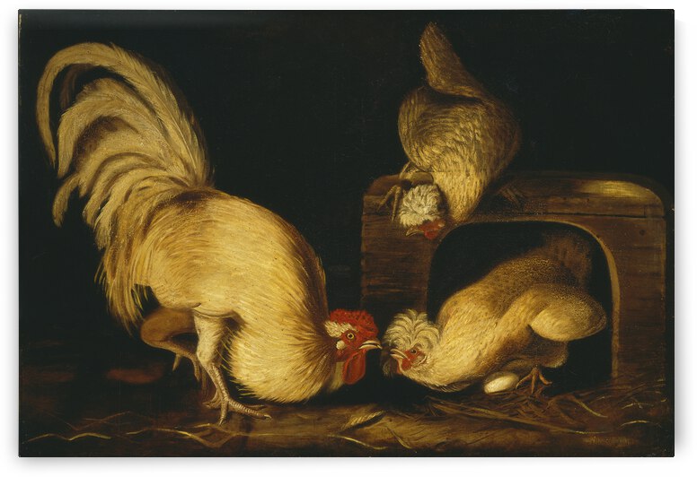 Farmyard Fowls E11541 by artcenter