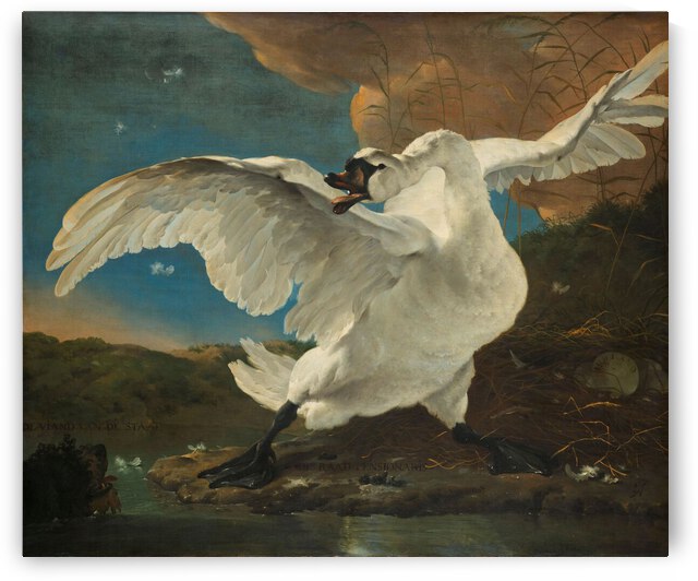 De bedreigde zwaan Rijksmuseum SK A 4 by artcenter