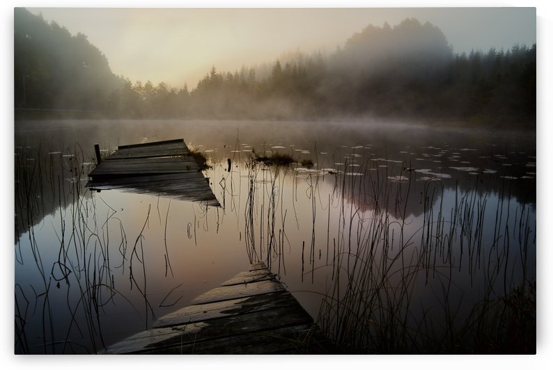 In the misty morning by 1x