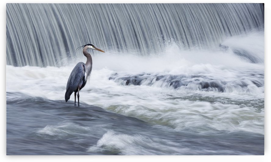 Solitude in stormy waters by 1x