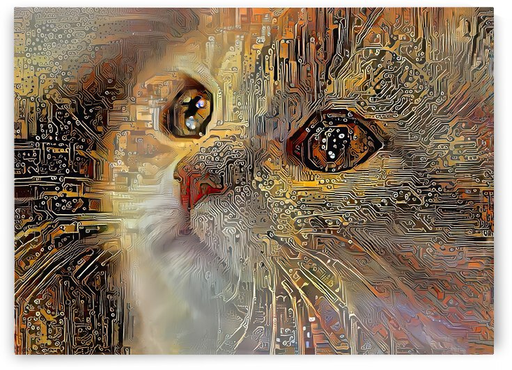 Chloe The Long Haired Tabby Cat by HH Photography of Florida