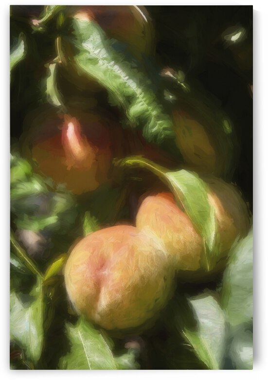 Peach tree Painting 1355688 by PaperMill Studio