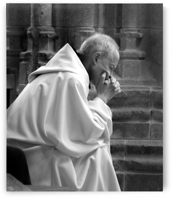 TLR 9234 copy by TLR