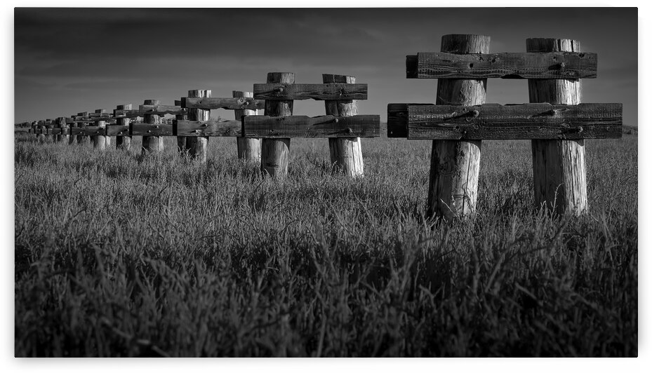 EstuaryPilons LRG BW by Darren Jackson
