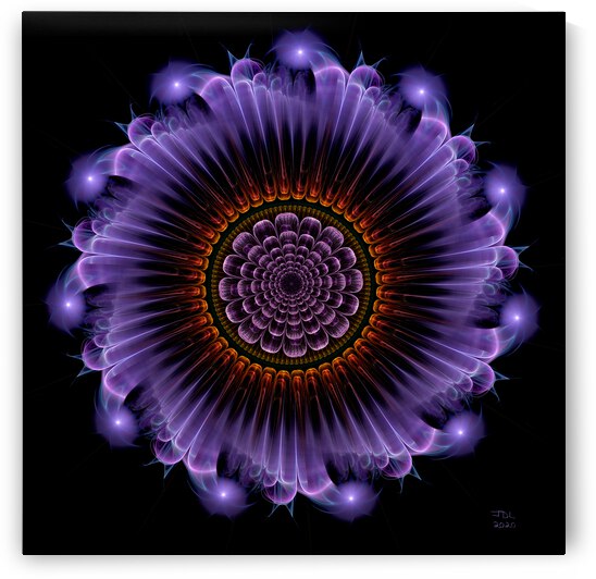 Delight in the Inner Mandala  by Jodi DiLiberto 