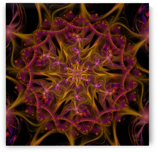 Elegant Incandescence  by Jodi DiLiberto 